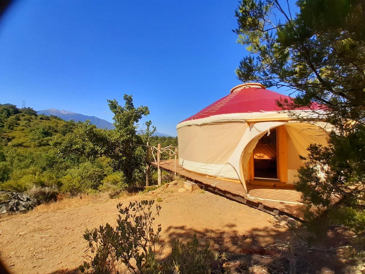 Yourte Contemporaine Avec Magnifique Vue Sur Les Montagnes Luxury tent *