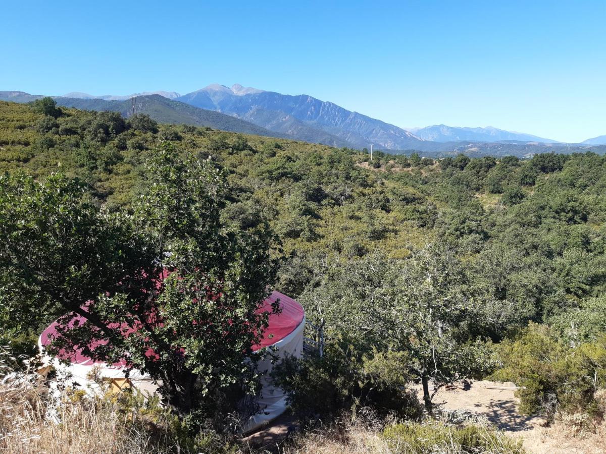 Yourte Contemporaine Avec Magnifique Vue Sur Les Montagnes Luxuszelt